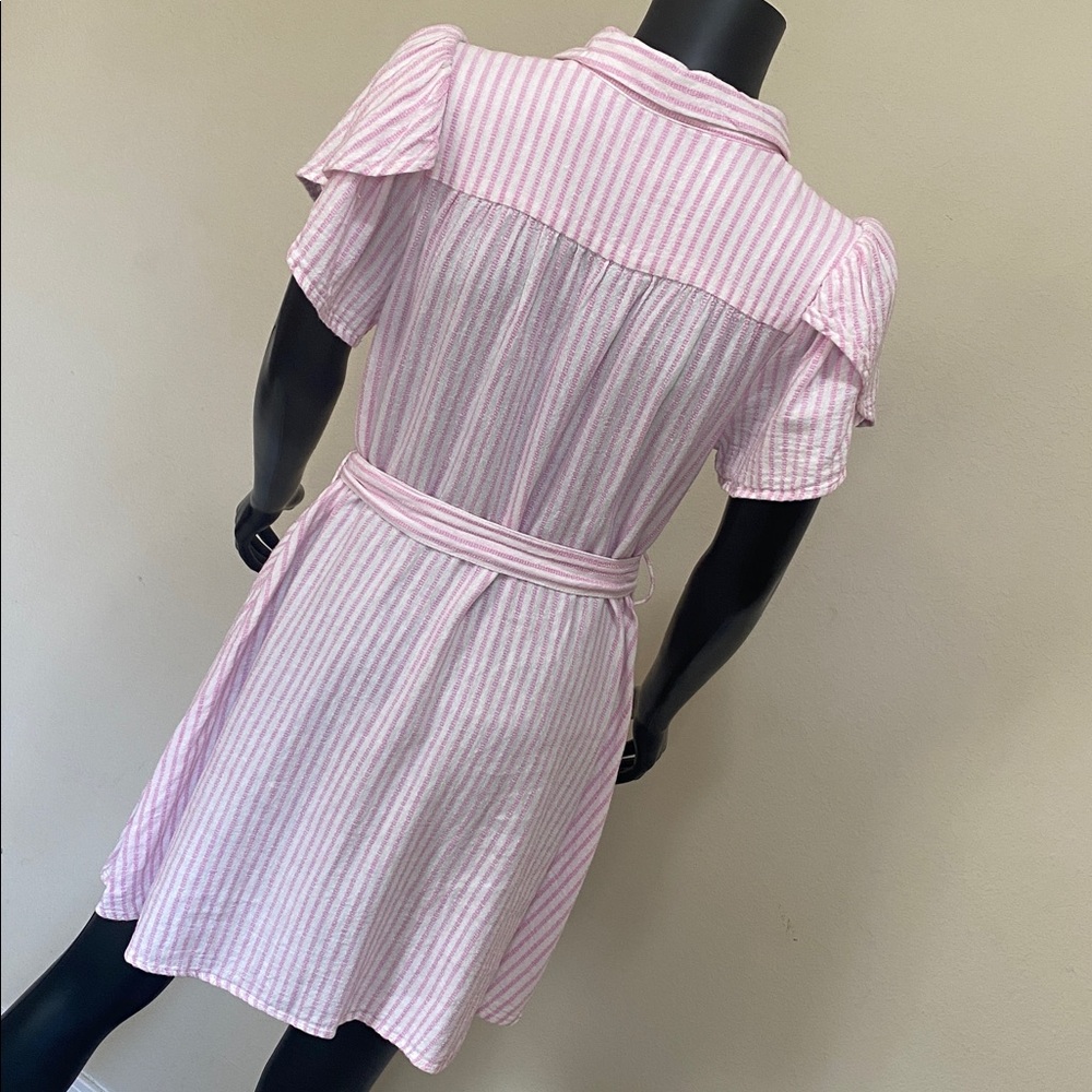 Alexis Pink and White Striped Button Mini Dress - Picture 11 of 14